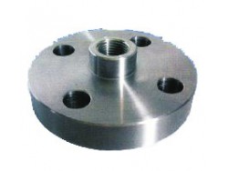 Flange separating membrane Type 55.. (DN)